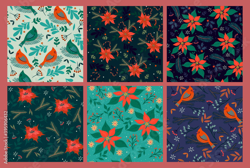 Set of seamless patterns with winter flora and birds. Vector graphics.