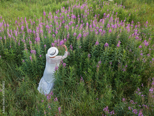 A woman in white clothes and a white hat in a field with pink flowers, Ivan tea, drone photo. Concept, vacation, walk, summer photo