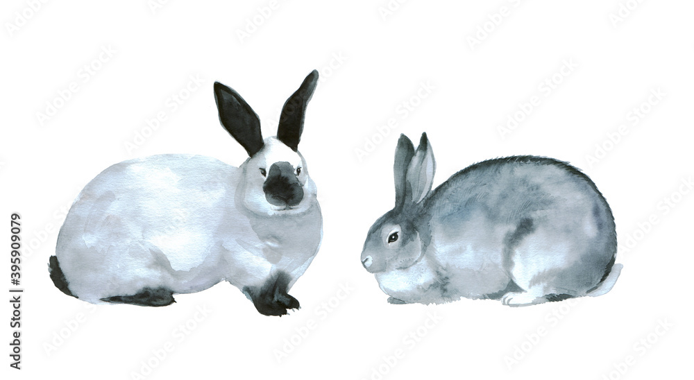 Fototapeta premium Cute watercolor rabbits on a white background. Furry Farm Animals. Illustrations for your design