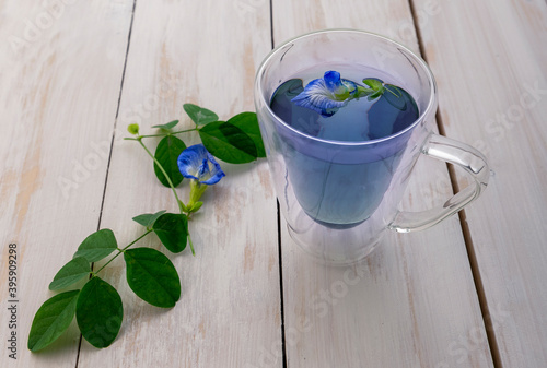 pea blue flower tea in a transparent cup photo
