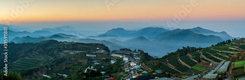 Photography Tea garden in Alishan