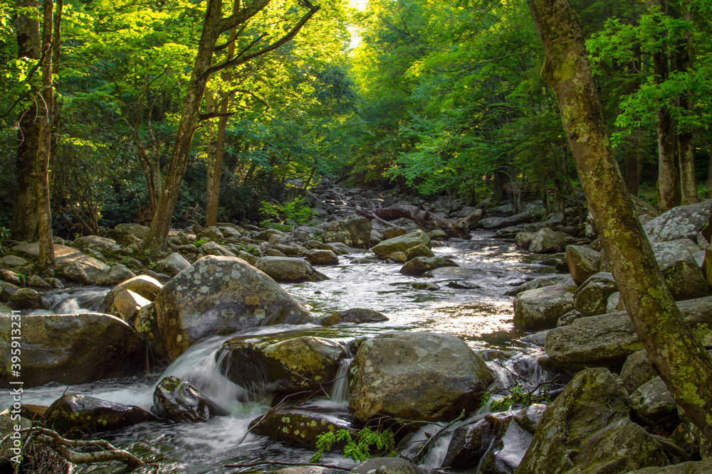 Sunlight on a river rushing through a forest landscape in the Great Smoky Mountains National Park in Tennessee. 