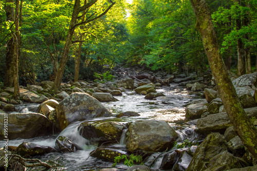 Sunlight on a river rushing through a forest landscape in the Great Smoky Mountains National Park in Tennessee. 