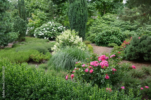 Gartentraum im botanischen Garten, Blumengarten, blühender Traumgarten und Schattengarten, Paradiesgarten, Grünoase, Staudengarten und Parkanlage photo