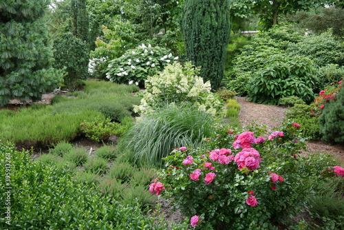Rosen und Blumen im botanischen Garten als blühender Traumgarten, Paradiesgarten, Staudengarten und Märchenpark