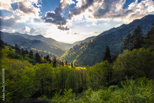 Sunrise over a beautiful forest mountain landscape in the Great Smoky Mountains National Park in Gatlinburg, Tennessee. 