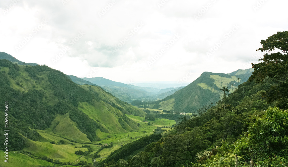 Cocora Valley, which is nestled between the mountains of the Cordillera Central in Colombia. Cocora Valley, which is nestled between the mountains of the Cordillera Central in Colombia.