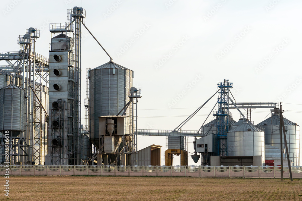 Obraz premium silver silos on agro manufacturing plant for processing drying cleaning and storage of agricultural products, flour, cereals and grain. Large iron barrels of grain. Granary elevator