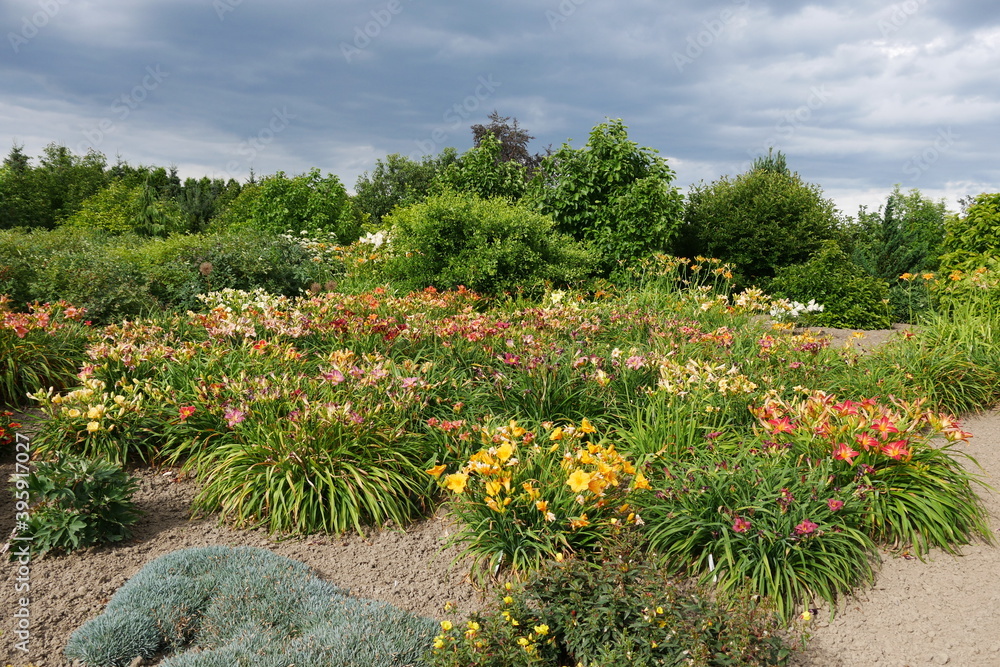Blumen im botanischen Garten, blühender Traumgarten, Paradiesgarten, Grünoase, Staudengarten und Parkanlage