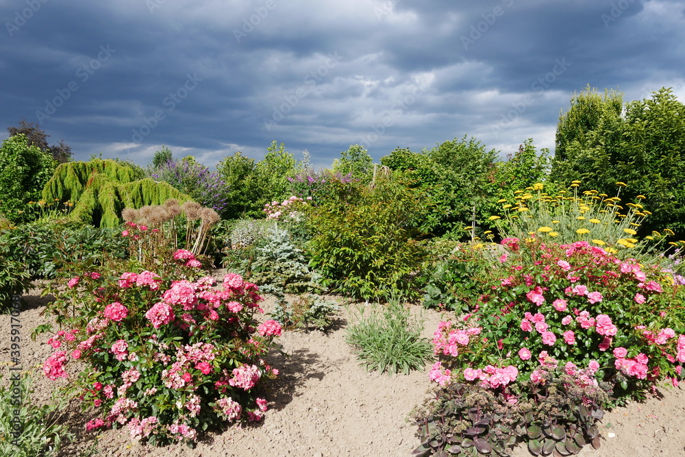 Rosen im botanischen Garten, blühender Traumgarten, Paradiesgarten, Grünoase, Staudengarten und Parkanlage