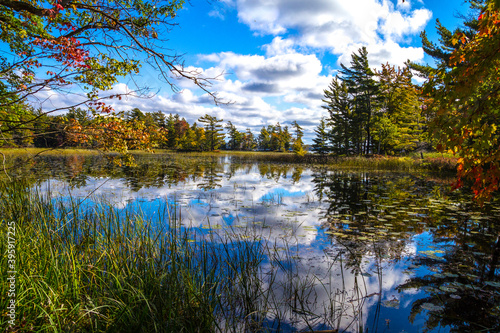 Blue sky reflections in the protected wetlands of Ludington State Park in Michigan. 