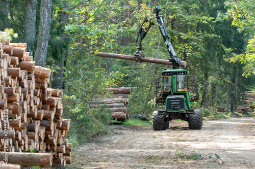 Loading logs on a truck trailer using a tractor loader with a grab crane. Transportation of coniferous logs to the sawmill. Deforestation and exploitation of nature. felling trees
