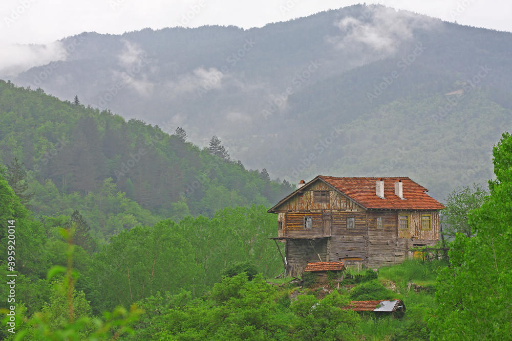 Turkey - Kastamonu 30.05.2011 ( pınarbaşı district / photos taken in the mountains of the sphere )