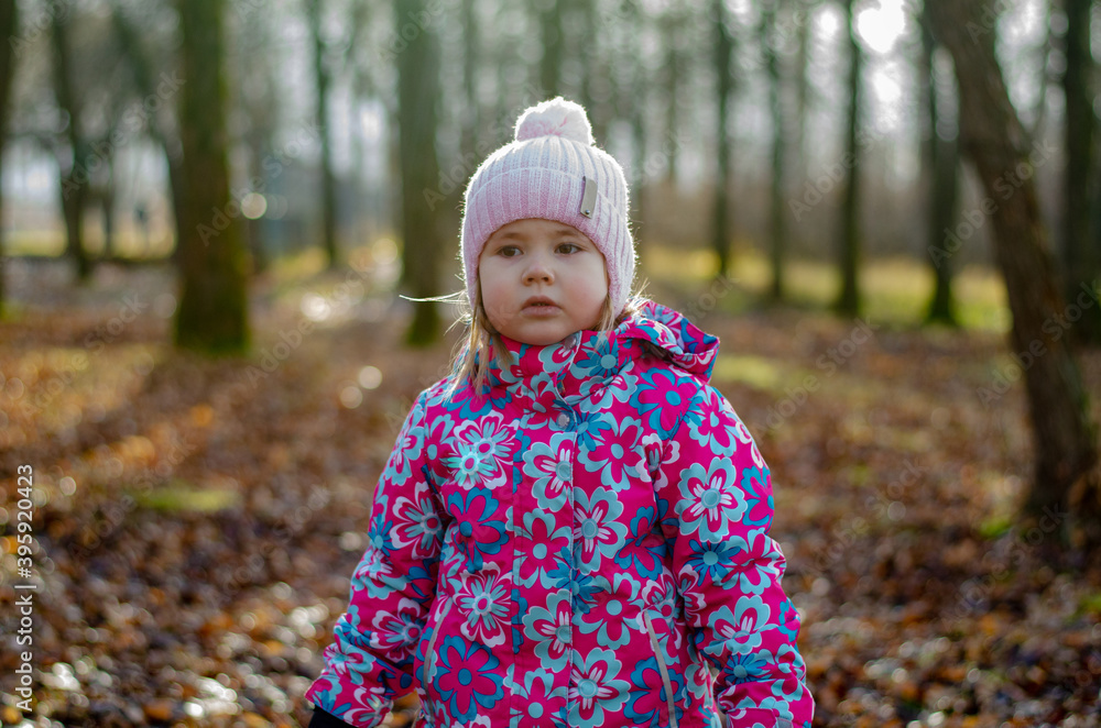 autumn walk in the Park with a child autumn walk in the Park with a child