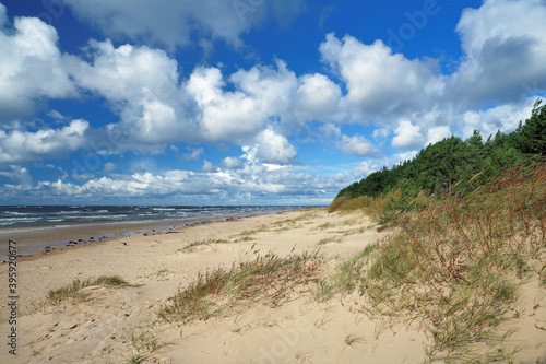 Sandy coast of the Baltic sea in the Gulf of Riga, Latvia
