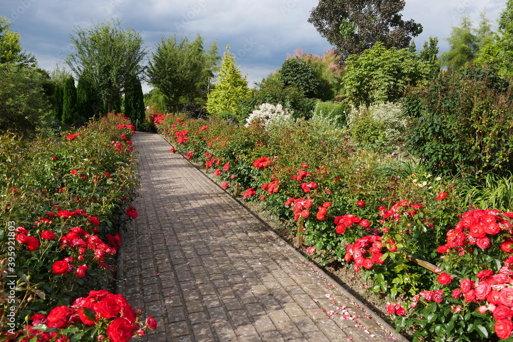 Weg im Staudengarten im Botanischen Garten als blühender Traumgarten: Parkanlage und Paradiesgarten