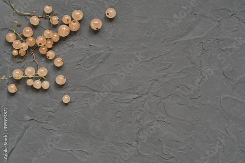 White currants on a gray concrete background. Ripe berries