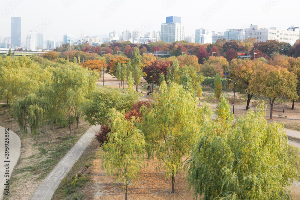 Autumn of Seonyudo Park in Seoul City, South Korea.
