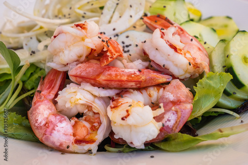 Shrimp Salad or Italian Insalata di Gamberi with Cucumber and Green Salad on a White Plate