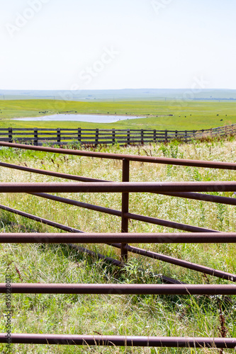 Kansas Bazaar cattle pens in Flint Hills