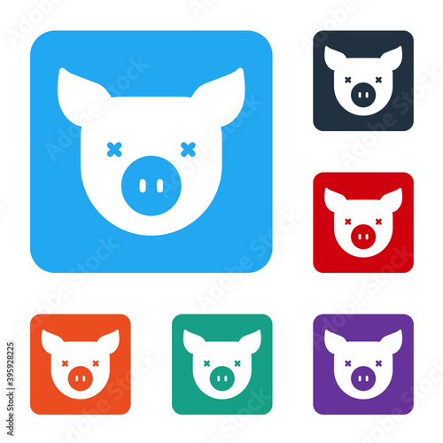 White Pig icon isolated on white background. Animal symbol. Set icons in color square buttons. Vector.