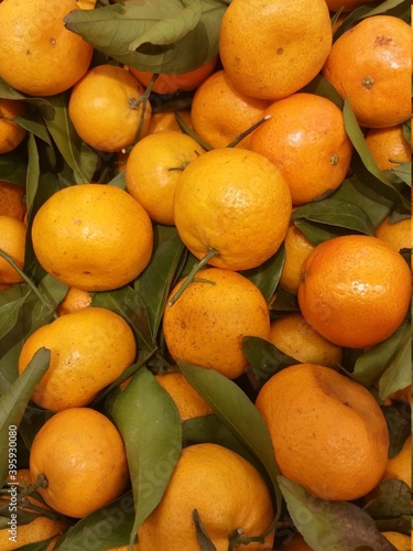 close up of mandarin oranges