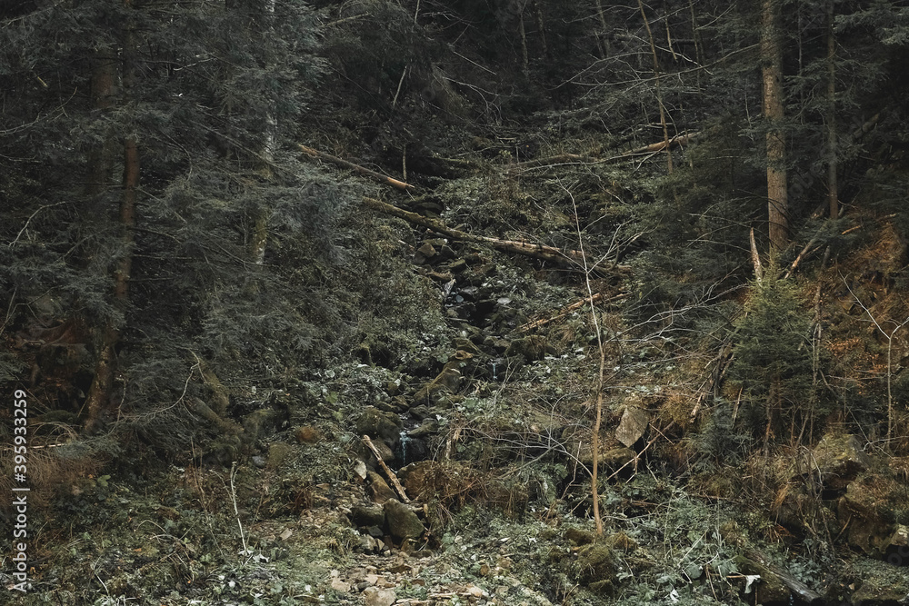 Mountain river among rocks and forest. Beautiful mountain landscape. Copy, empty space for text Mountain river among rocks and forest. Beautiful mountain landscape. Copy, empty space for text