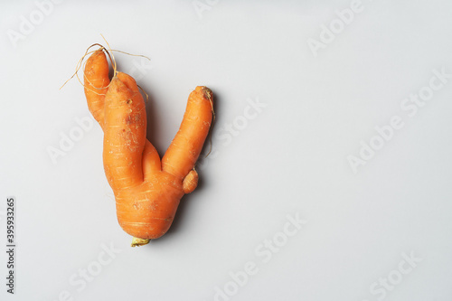 Trendly ugly carrot. Natural organic vegetables on grey concrete background. The concept of using fertilizers and GMOs. Top view, copy space. Horizontal position