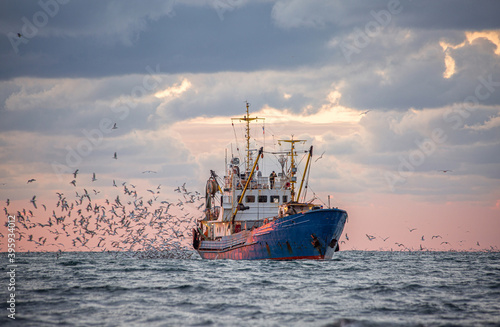 Fototapeta Return of the fishing seiner after the catch