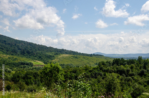 clouds over the forest