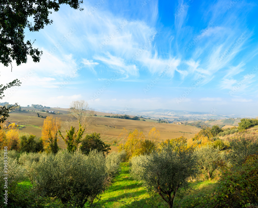 Beautiful rural landscape, autumn day in countryside, blue sky Beautiful rural landscape, autumn day in countryside, blue sky