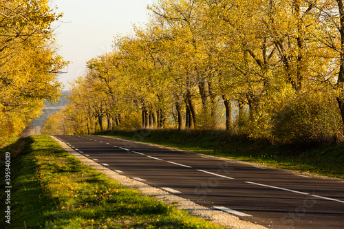 Beautiful road in the beautiful trees. A country road in the fall. Autumn in the park. Empty race track. © romeof