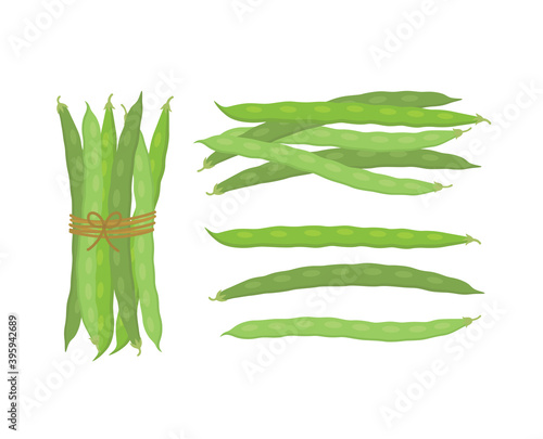 Fresh green beans vegetables. Vector illustration isolated