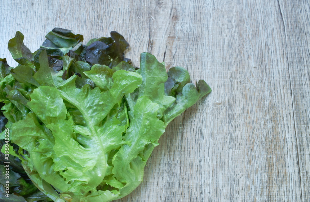 fresh red oak vegetable salad with drop of water arranging on wooden table background fresh red oak vegetable salad with drop of water arranging on wooden table background