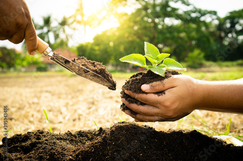 World tree planting day concept, the hands of two people shoveling the seedlings in the morning as the sun rises photo