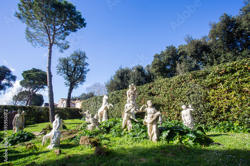 Statues in park Medici and amazing park - fantastic italian Pinia trees !