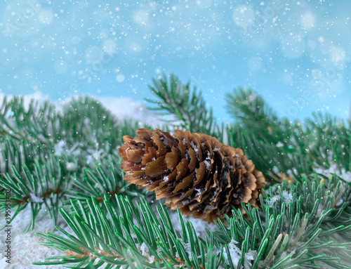 Close up winter pine cone with fir tree branch. Selective focus of pine spruce branch over snowy bokeh background.