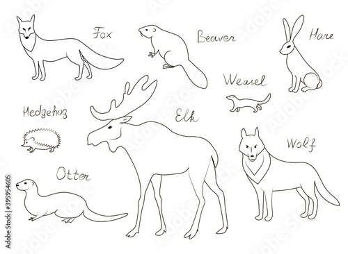 Forest animals of the Northern hemisphere s with text names. Vector image outline collection.