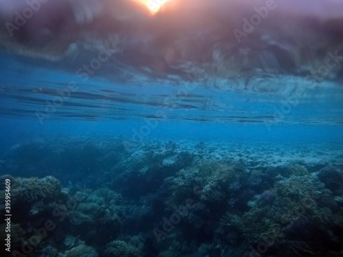 Unserwater sinset.Red Sea. Sharm El Sheikh, Egypt.