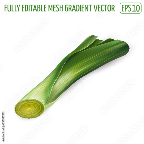 Fresh green leek illustration on white background.