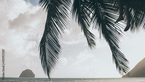 Caribbean landscape view (Diamant, Martinique) photo