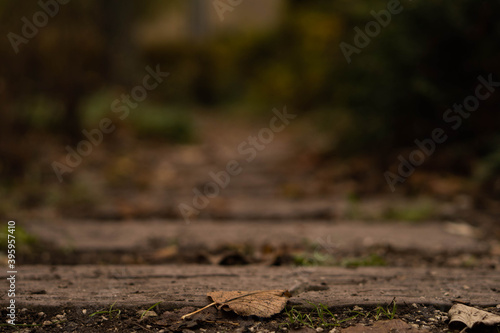 Natural pathway with blurry background