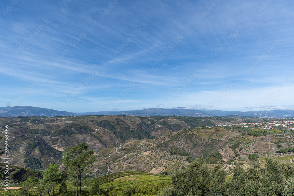 Fototapeta premium Douro