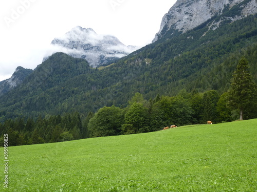 Idyllic scenery during a hike along the brine pipeline near Berchtesgaden