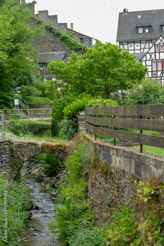 Bacharach city view