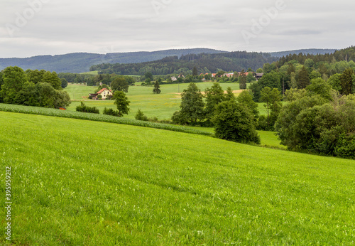 Bavarian Forest scenery