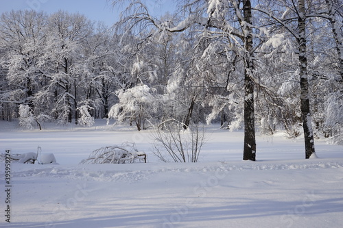 snowy beautiful winter in Kuskovo park in Moscow © HELEN_IV