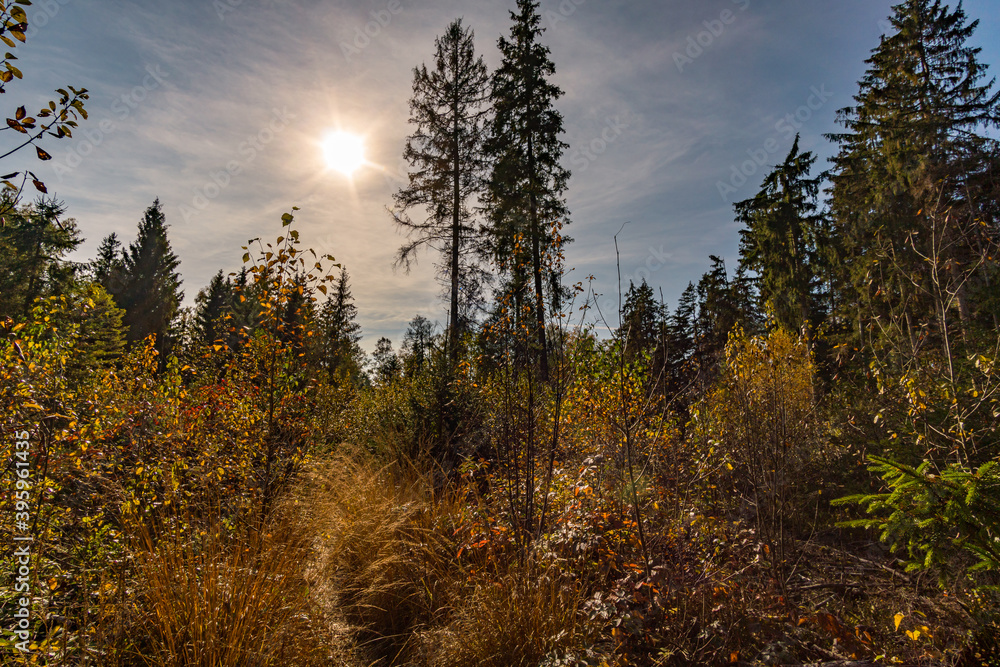 Wonderful autumn hike near Koenigseggwald in Upper Swabia Wonderful autumn hike near Koenigseggwald in Upper Swabia