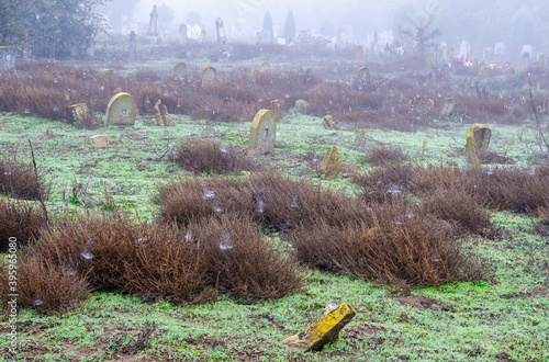 view on a foggy morning of a cemetery