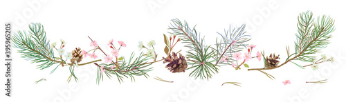 Horizontal border with pine branches, cones, spring blossom. Needles on white background, hand digital draw, watercolor style, decorative botanical illustration for design, Christmas tree, vector